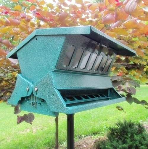 Absolute II Squirrel Proof Bird Feeder - Keeps those pesky squirrels from stealing the seed!